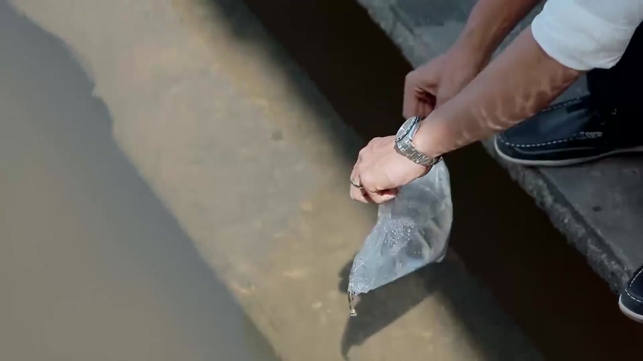 Bản Chất tập 12