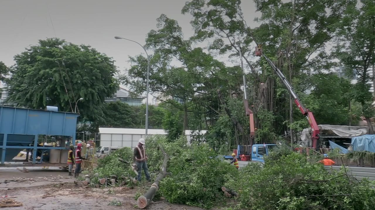 Một ngày nào đó ở Singapore - cảnh 1