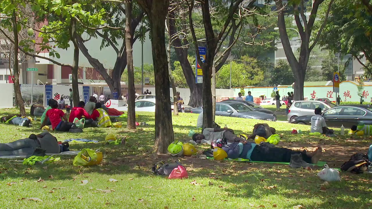 Một ngày nào đó ở Singapore - cảnh 2