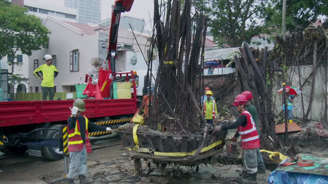 Một ngày nào đó ở Singapore - cảnh 3