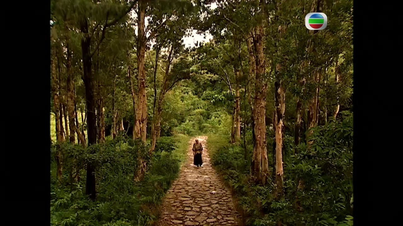 Bố Y Thần Tướng tập 20