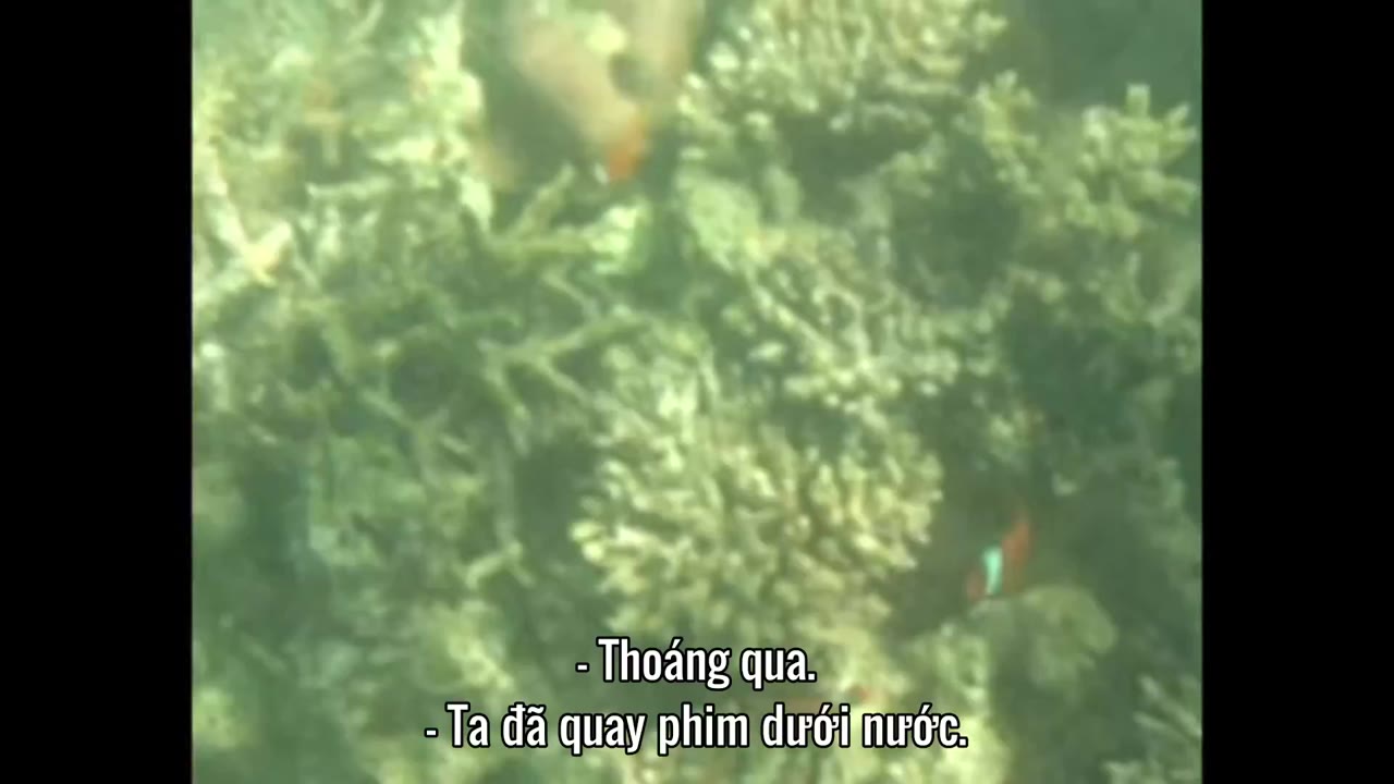 Bạn Thích Thư Tư Của Mình Như Thế Nào? (Phần 14) tập 2 cảnh 2