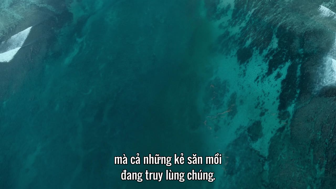 Hành Tinh Thời Tiền Sử (Phần 2) tập 4 cảnh 2