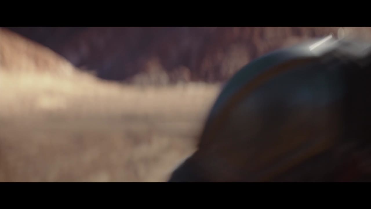 The Mandalorian (Phần 1) tập 2