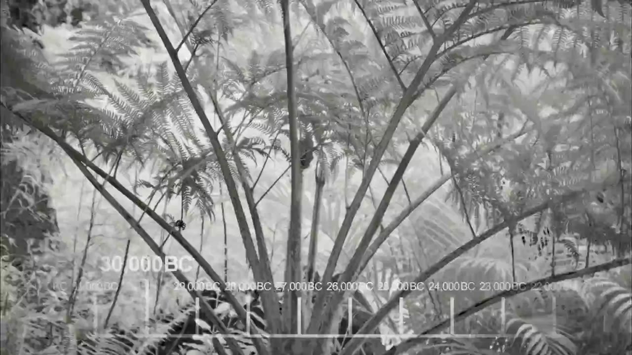 Vụ Nổ Lớn (Phần 3) tập 20