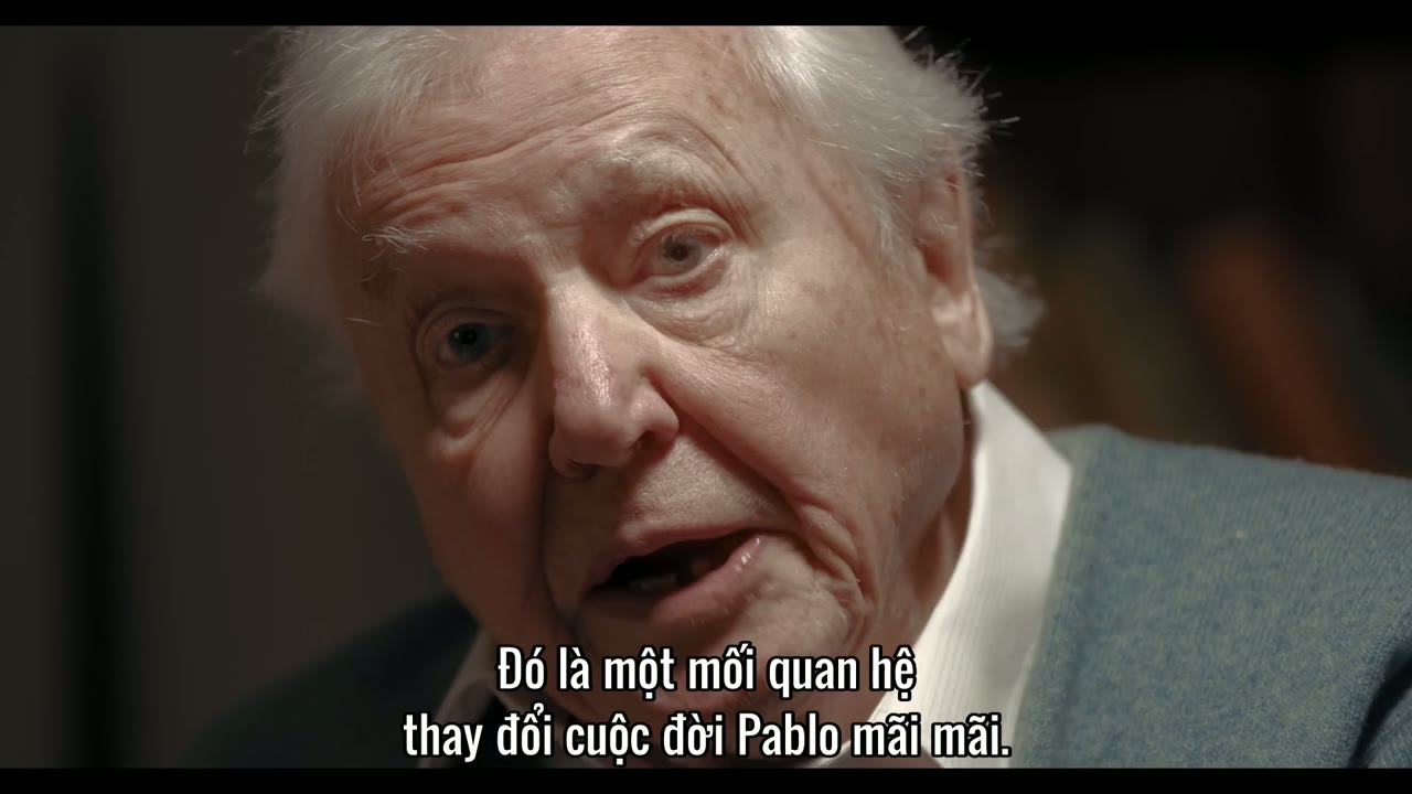 Hành Trình Của Khỉ Đột – Qua Giọng Kể David Attenborough tập 1