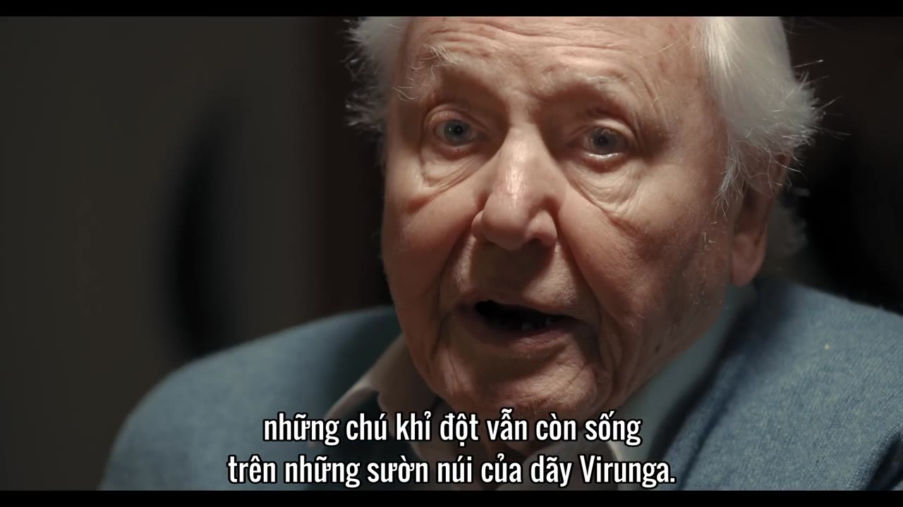 Hành Trình Của Khỉ Đột – Qua Giọng Kể David Attenborough - cảnh 2