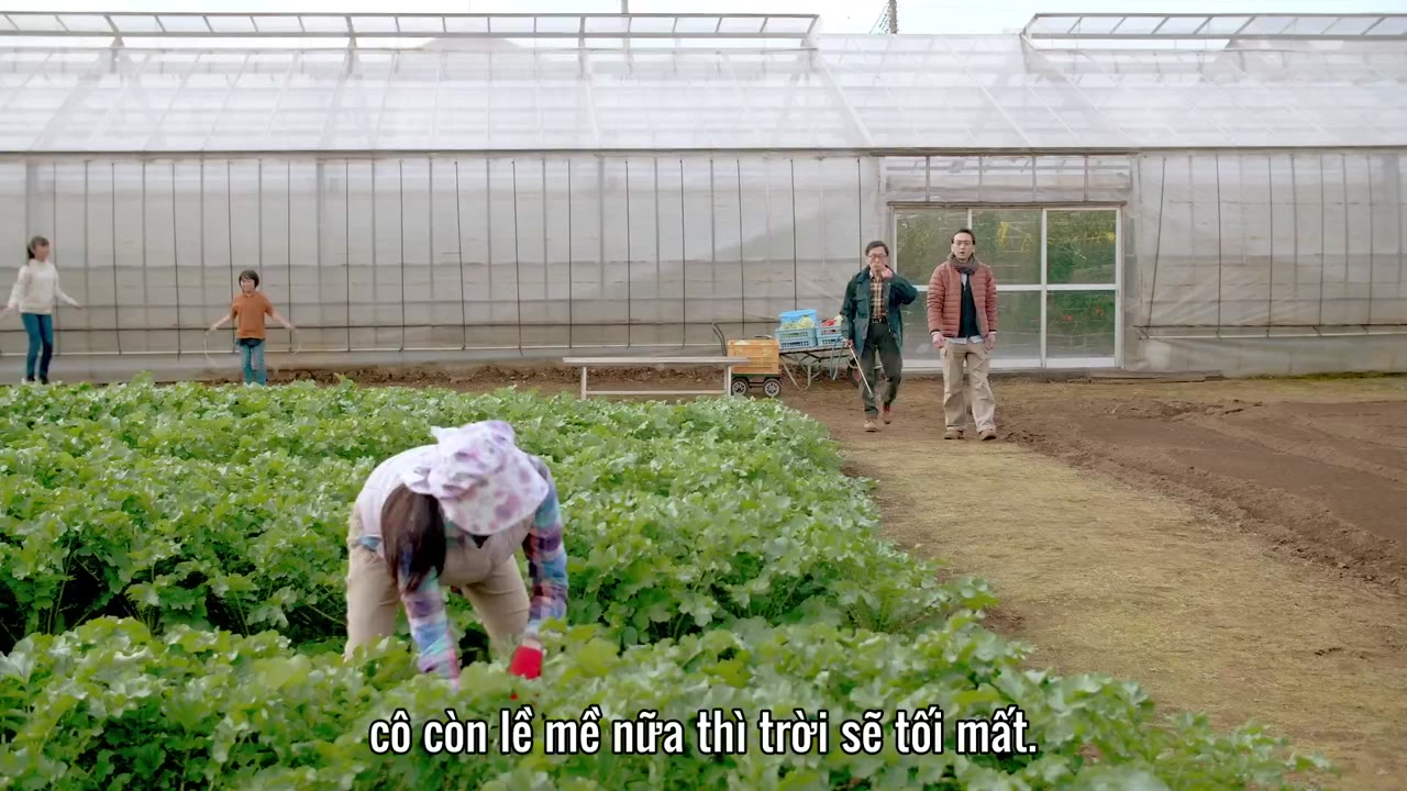 Hôn Nhân Của Cặp Đũa Lệch tập 8 cảnh 3