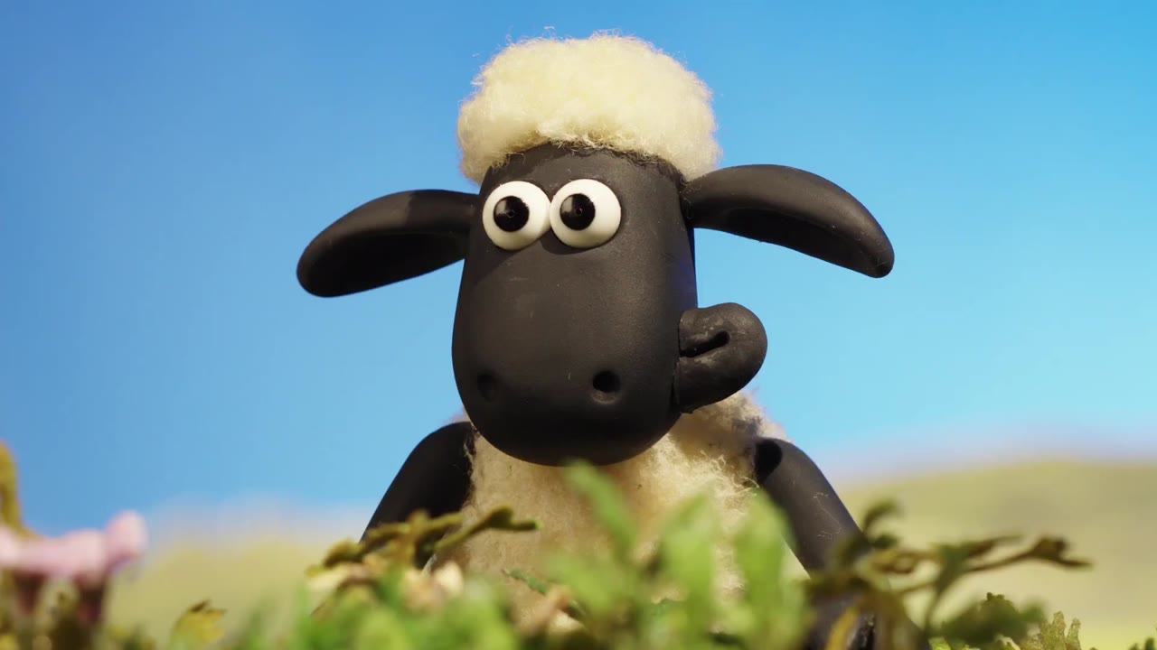 Chú cừu Shaun (Phần 4) tập 4
