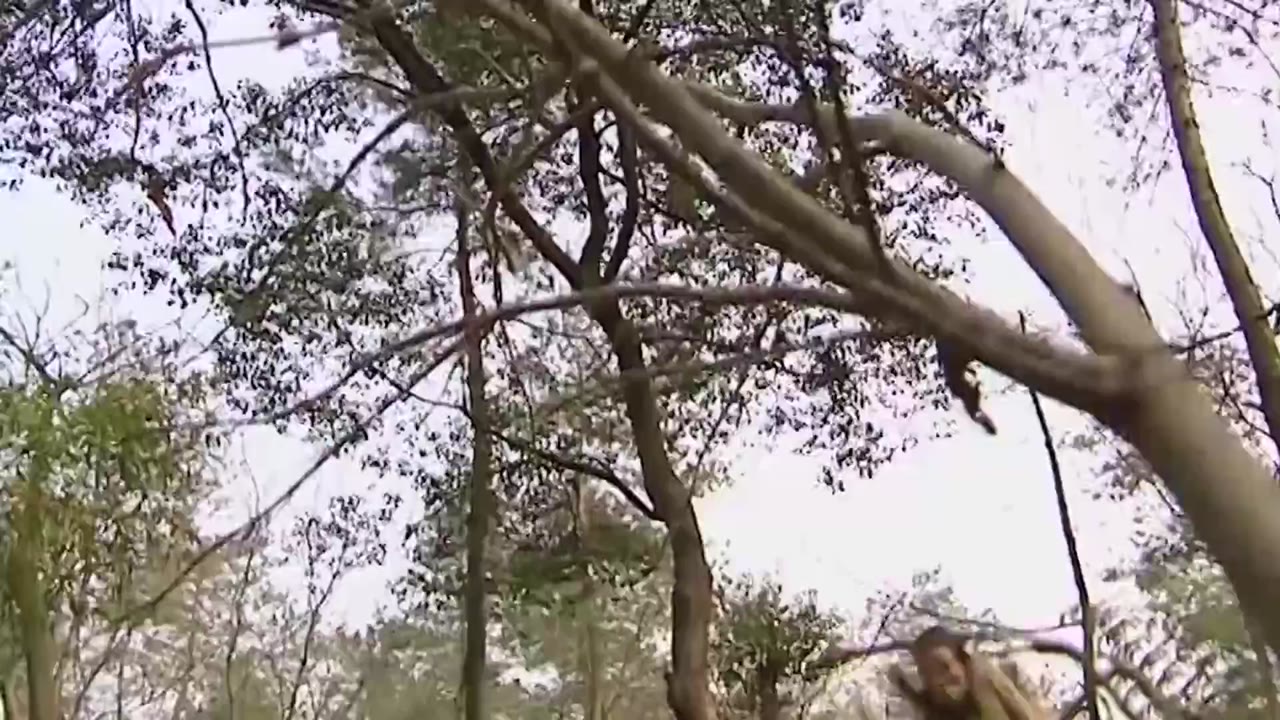 Túy Quyền: Say Vô Địch tập 5