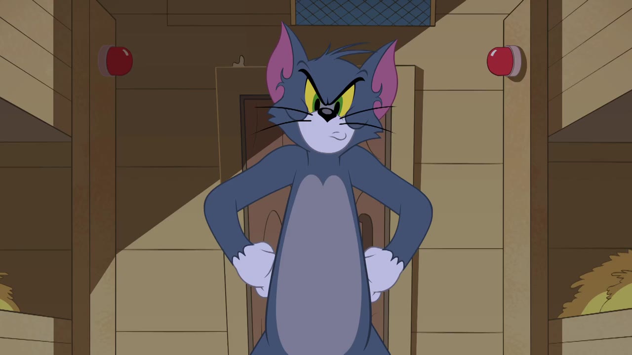 The Tom And Jerry Show (Phần 3) tập 24 cảnh 3