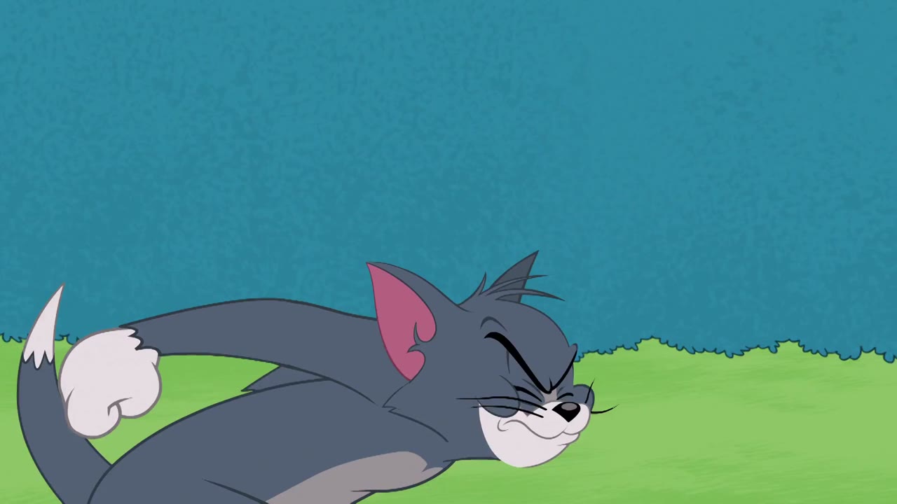 The Tom And Jerry Show (Phần 3) tập 67 cảnh 3