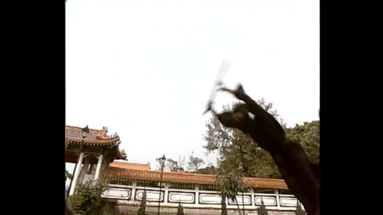 Bao Thanh Thiên 1993 (Phần 6) tập 204