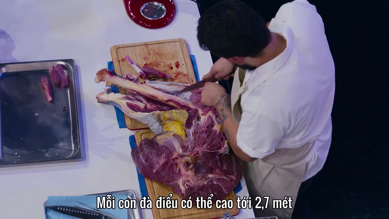 Iron Chef: Mexico - cảnh 1