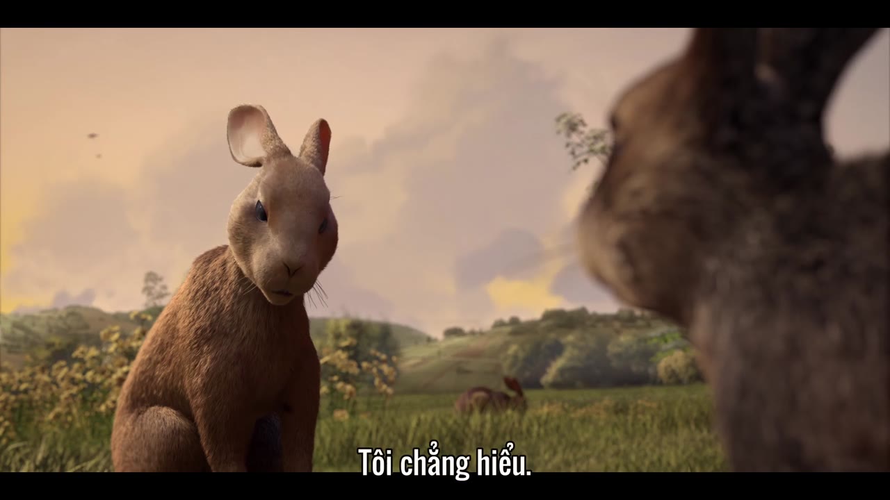 Đồi thỏ tập 1