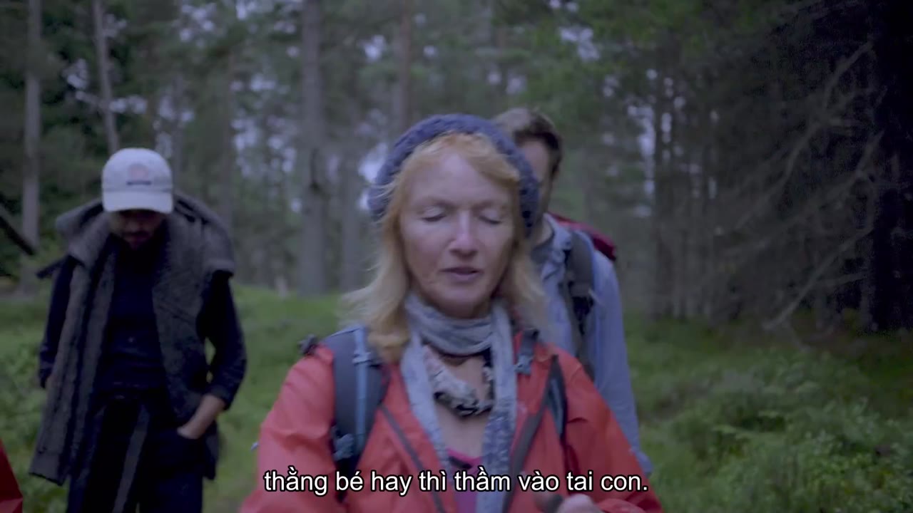 Evelyn tập 1