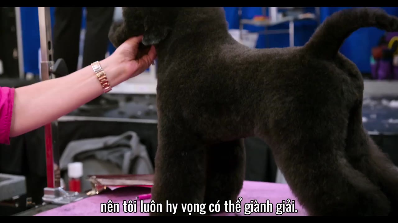 Những Chú Chó tập 4 cảnh 3
