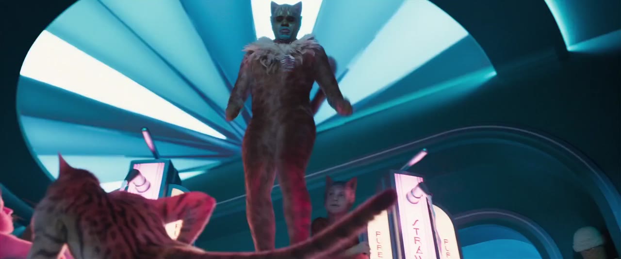 Cats: Những chú mèo tập 1