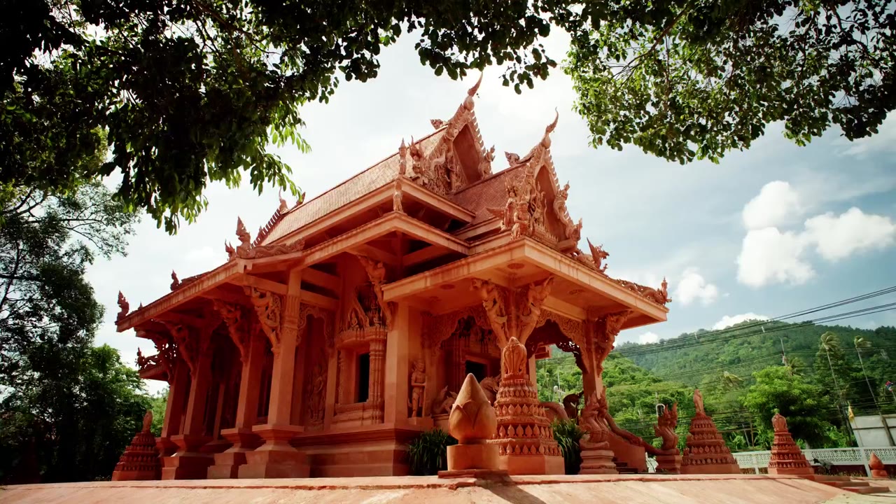 Nghệ Thuật Của Tự Nhiên (Phần 2) - cảnh 2