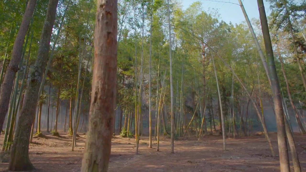 Đại Tiên Nha Môn tập 22