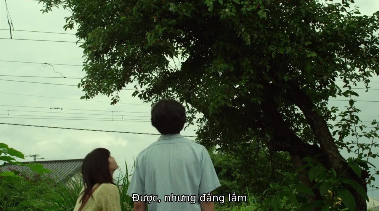 Khu Rừng Nhỏ- Hạ/Thu tập 1