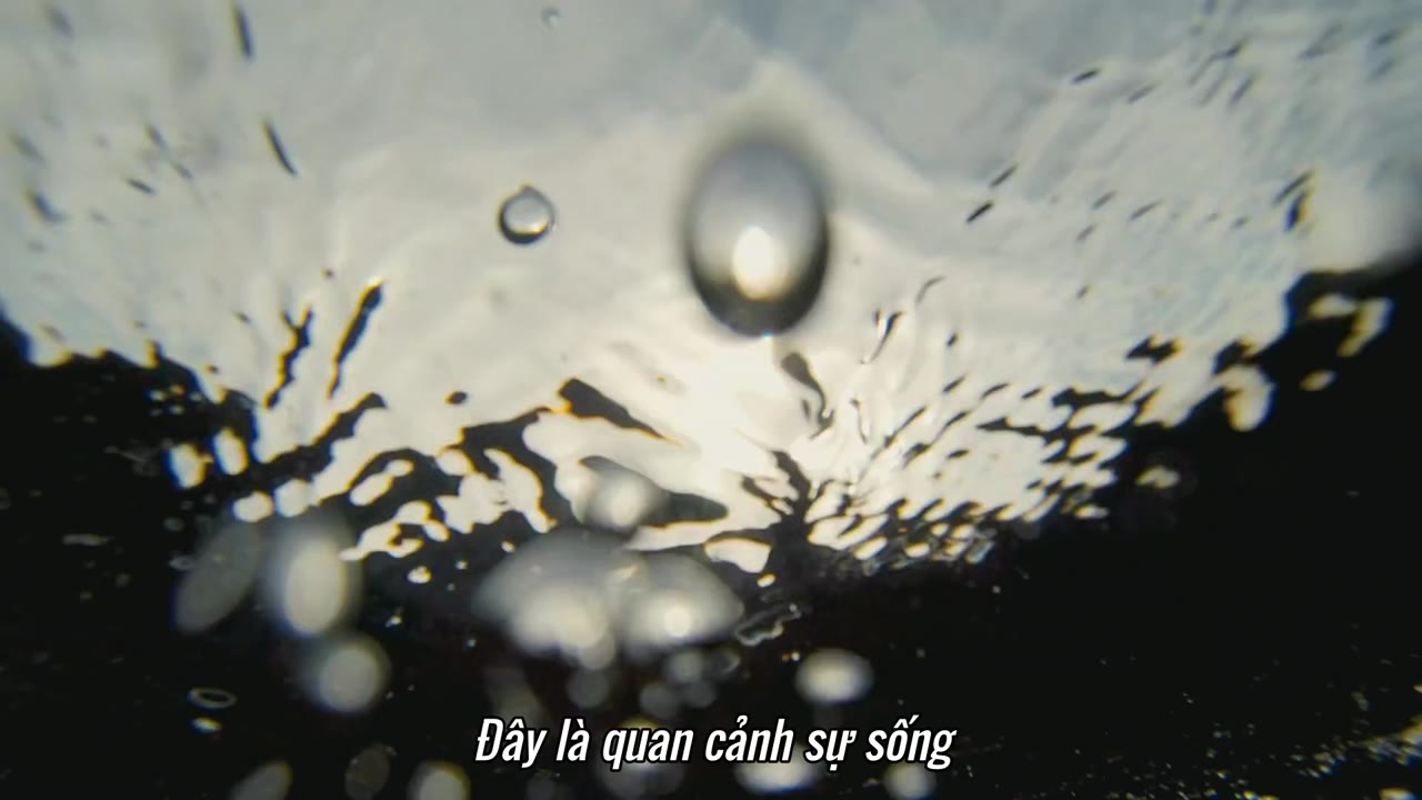 Vũ Trụ Kỳ Diệu Phần 1 tập 2 cảnh 2