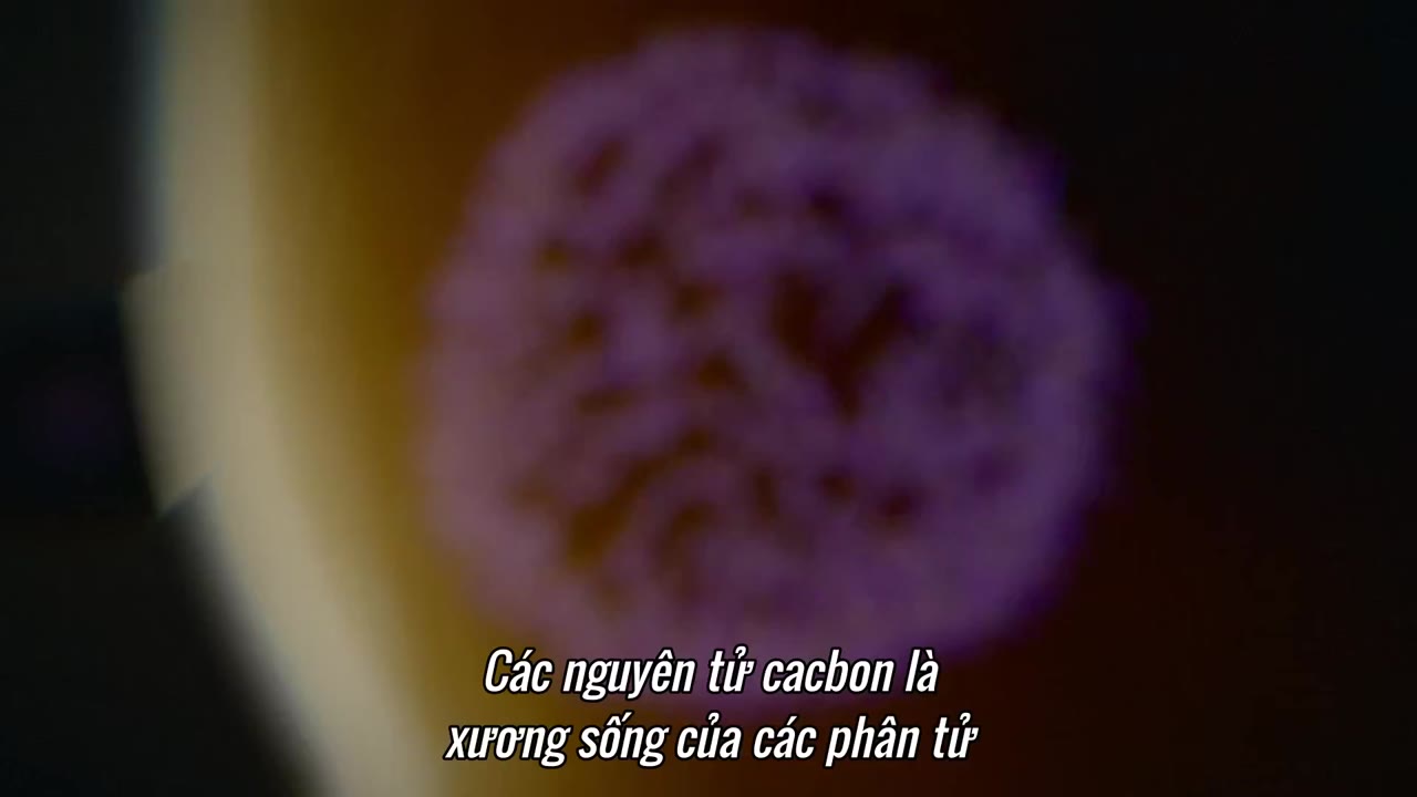 Vũ Trụ Kỳ Diệu Phần 1 tập 6 cảnh 2