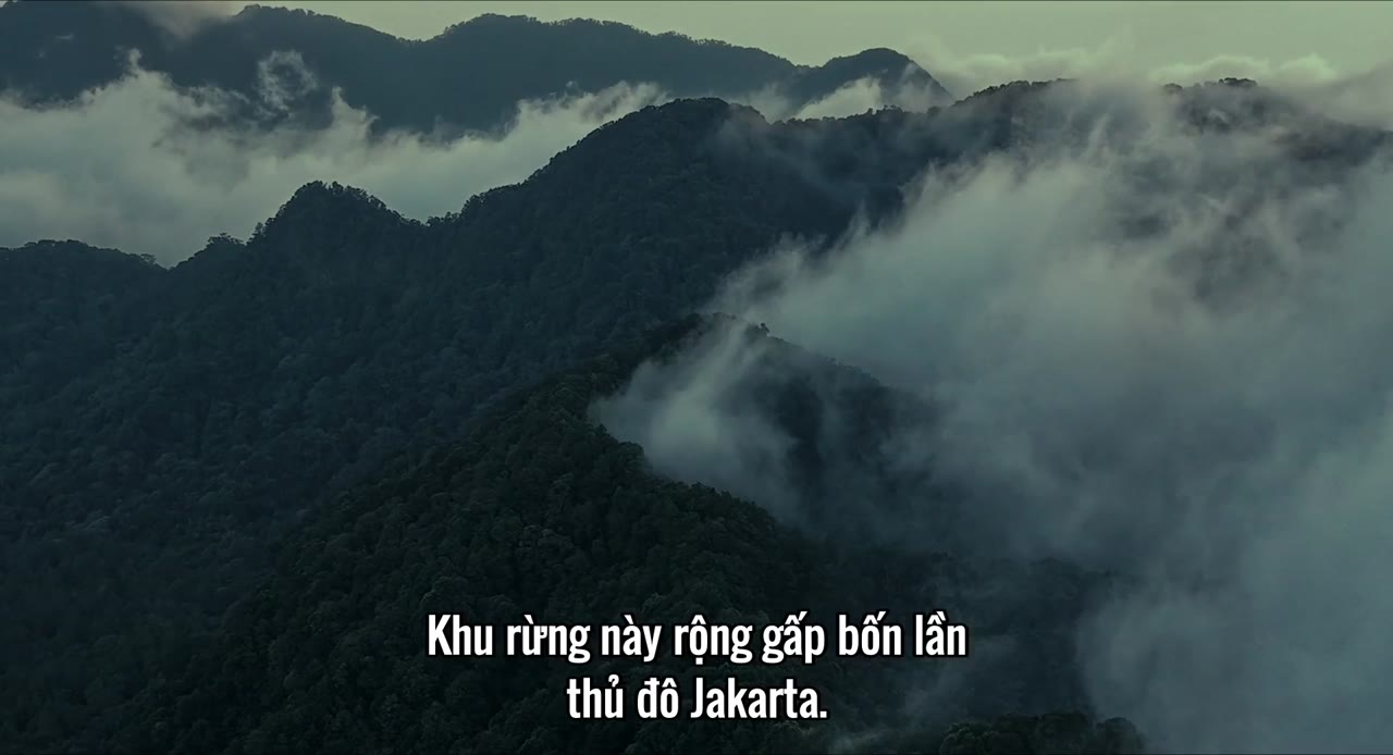 Timur - cảnh 1