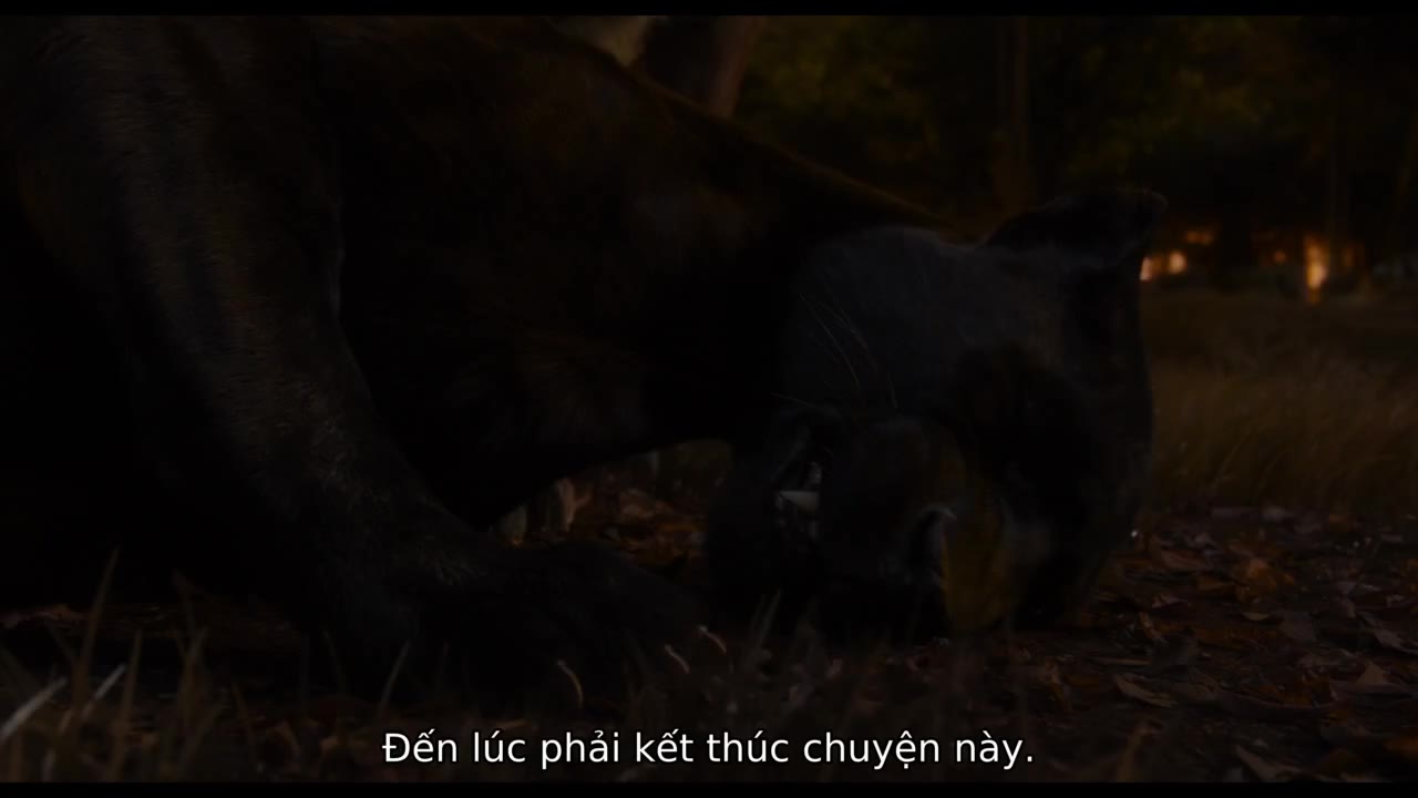 The Jungle Book tập 1 cảnh 3
