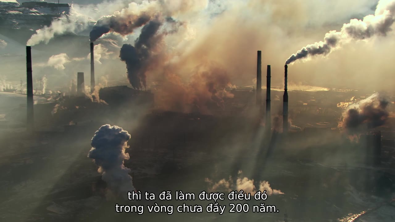 David Attenborough: Một cuộc đời trên Trái Đất tập 1 cảnh 2