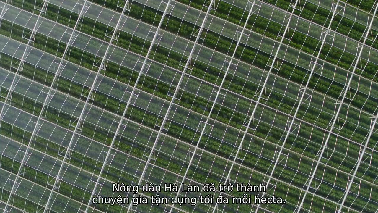 David Attenborough: Một cuộc đời trên Trái Đất tập 1 cảnh 3
