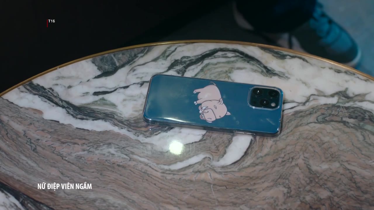 Nữ Điệp Viên Ngầm - cảnh 2