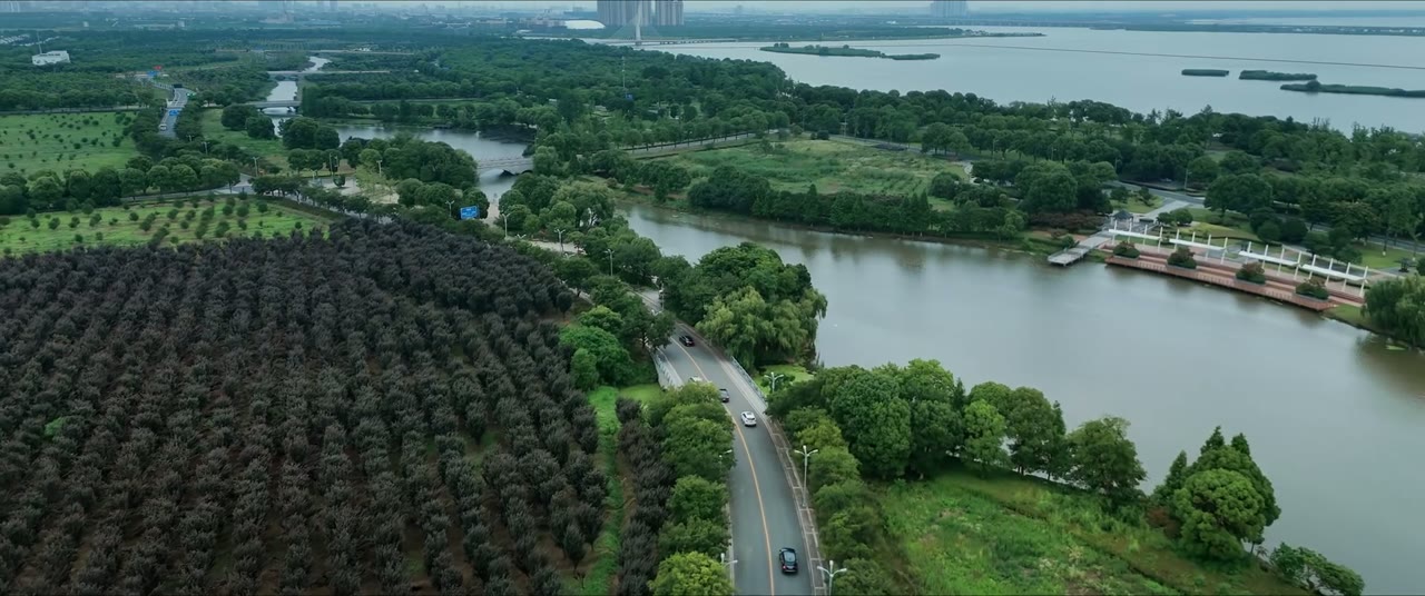 Rừng Thép tập 7