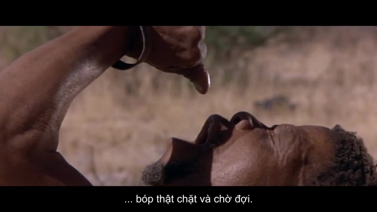 Thế Giới Loài Vật Sống Động - cảnh 3