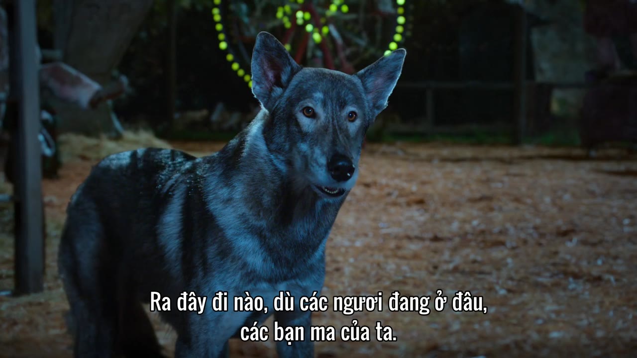 Phantom Pups (Phần 1) tập 9 cảnh 2