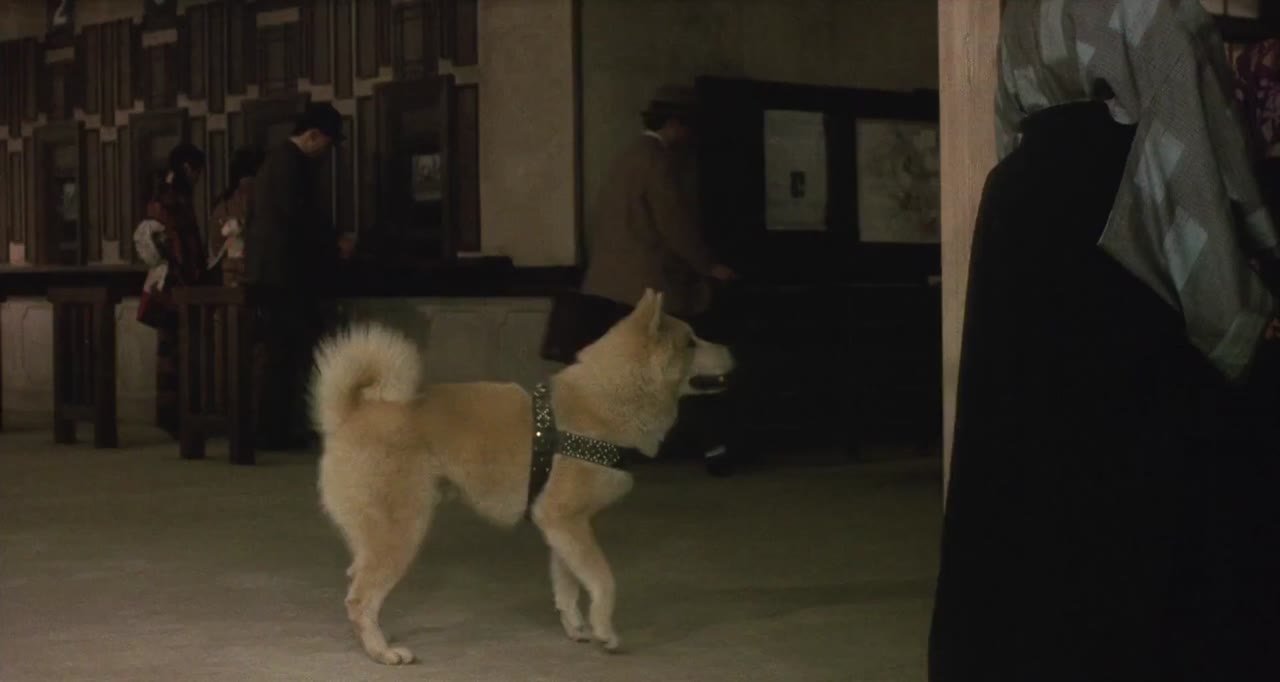 Câu Chuyện Về Chú Chó Hachiko tập 1 cảnh 3
