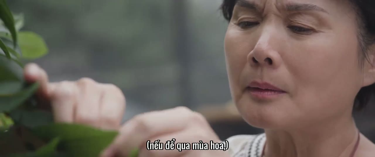Hãy Để Tôi Tỏa Sáng tập 1 cảnh 3