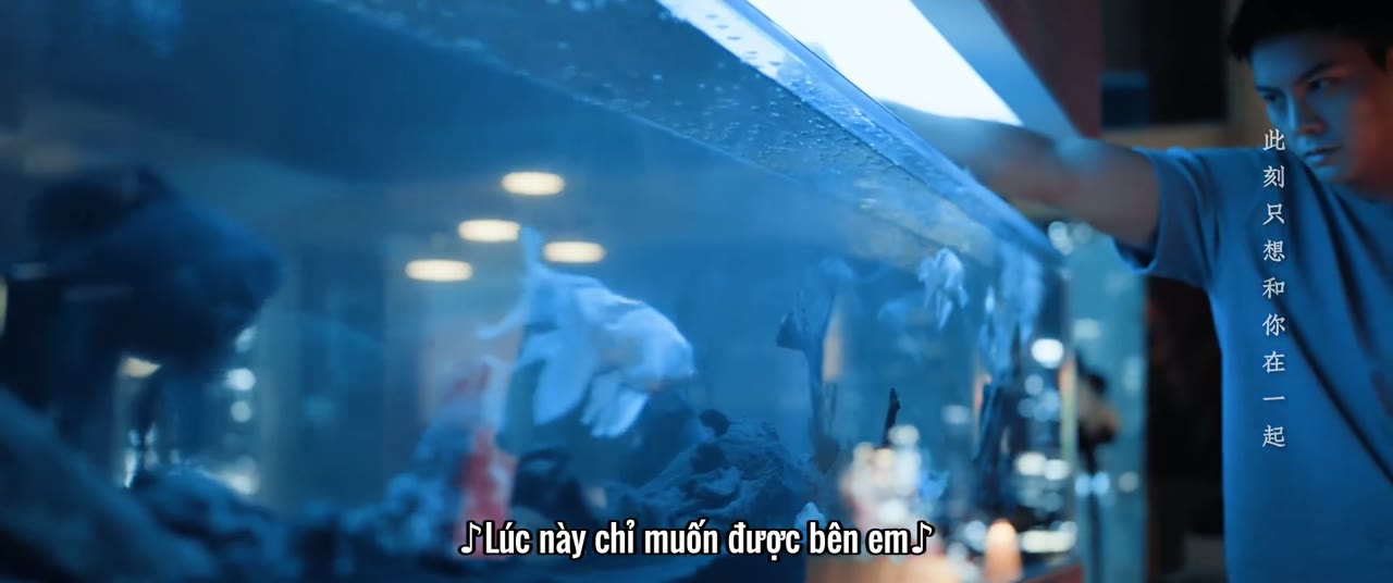 Hãy Để Tôi Tỏa Sáng tập 22
