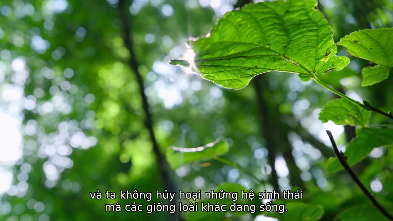 Phá vỡ ranh giới: Cứu lấy hành tinh của chúng ta tập 1 cảnh 3
