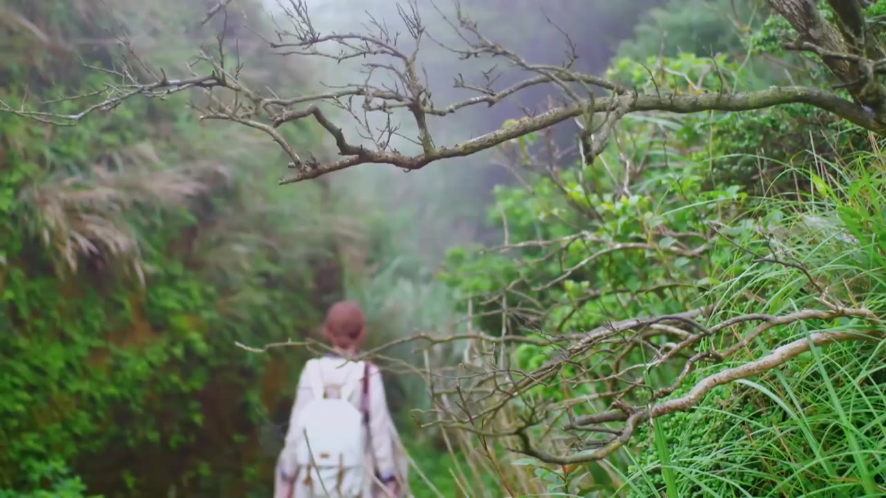 Hoàng Tử Sói - cảnh 3
