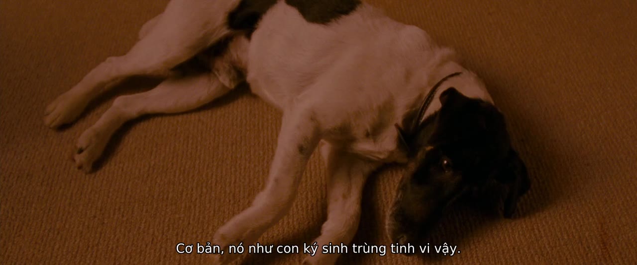 Người Đàn Ông Cô Đơn tập 1 cảnh 2