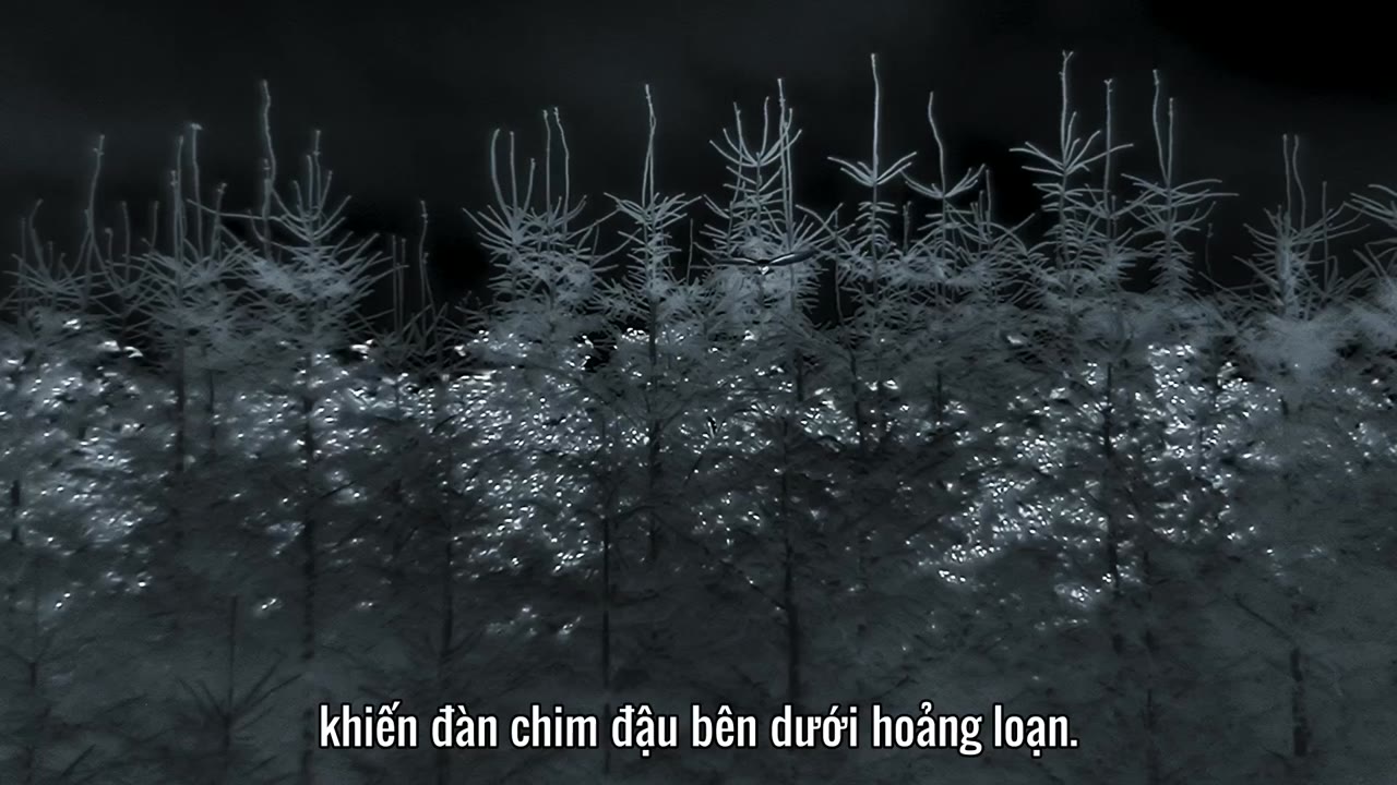 Quần Đảo Anh Hoang Dã tập 2 cảnh 3