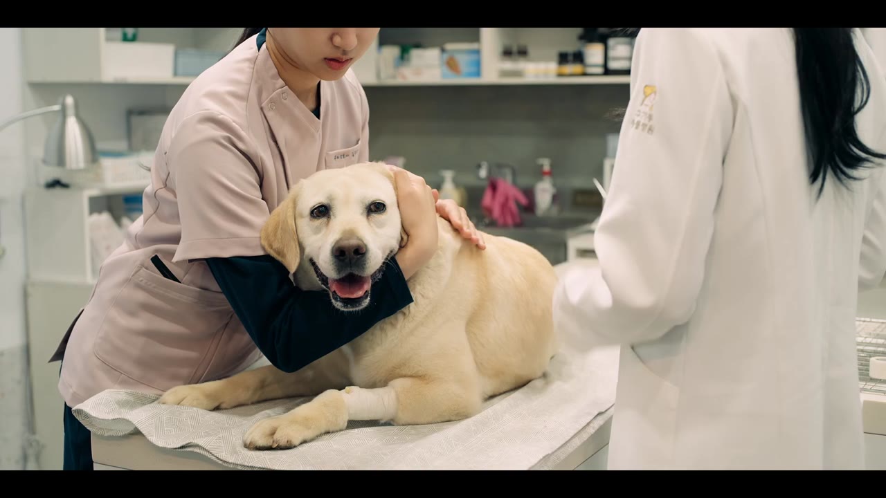 Người Yêu Của Tôi Là Thần Tình Yêu tập 6