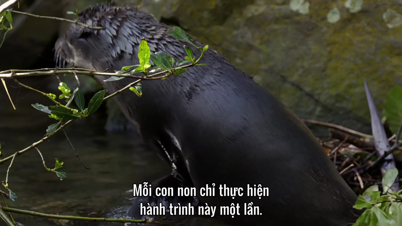 Câu Chuyện Cuộc Sống tập 1 cảnh 2