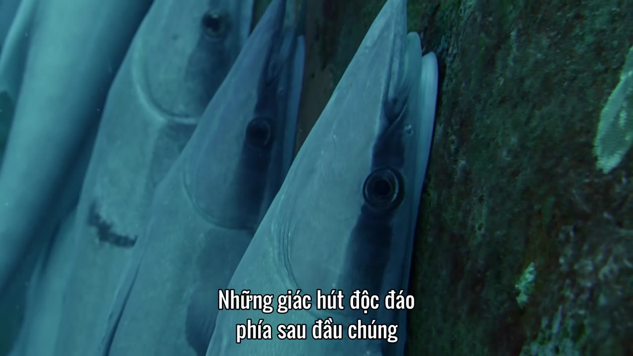 Câu Chuyện Cuộc Sống tập 3