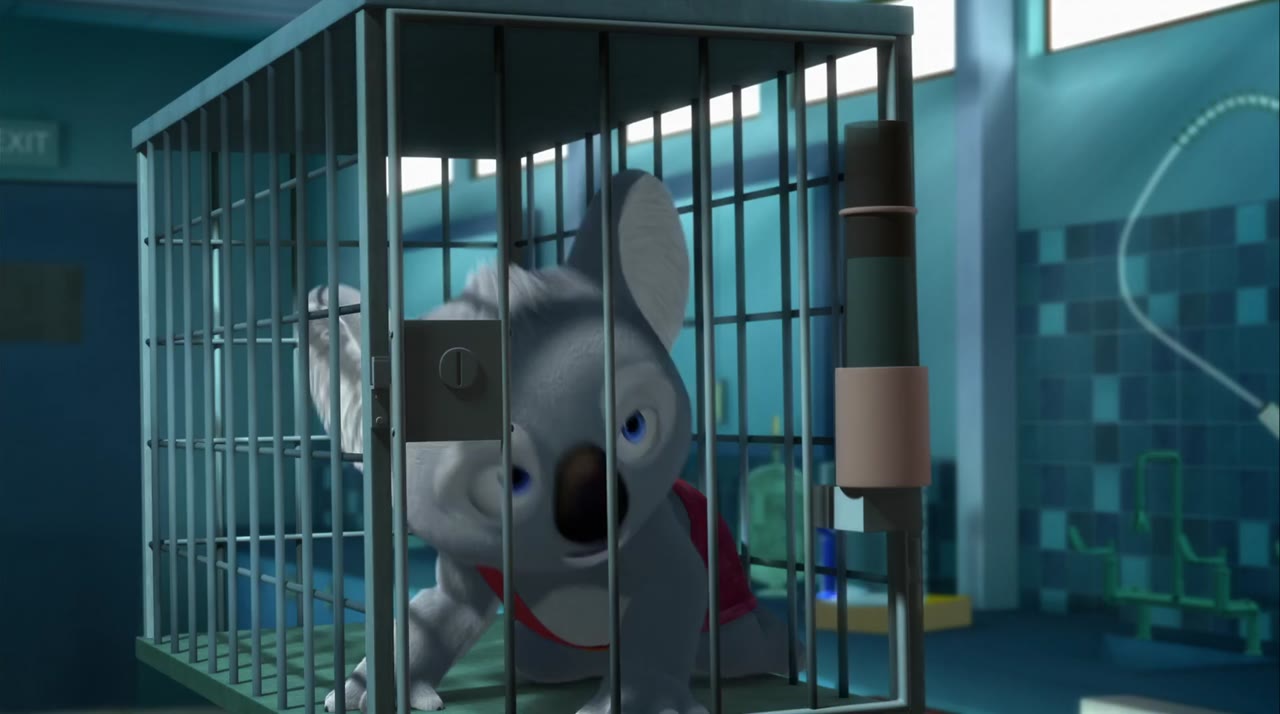 Cuộc Phiêu Lưu Của Blinky Bill tập 1 cảnh 3