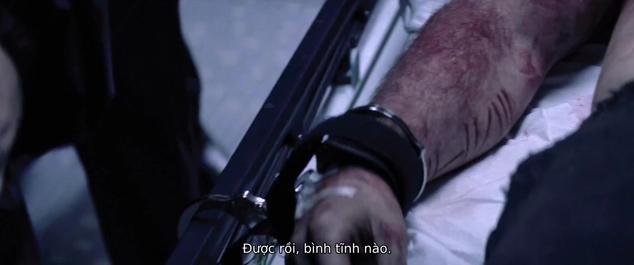 Bộ Sưu Tập Hoàn Hảo tập 1