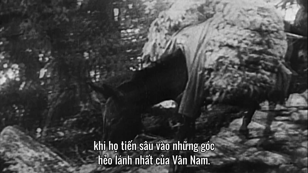 Thiên Nhiên Hoang Dã Trung Quốc tập 2