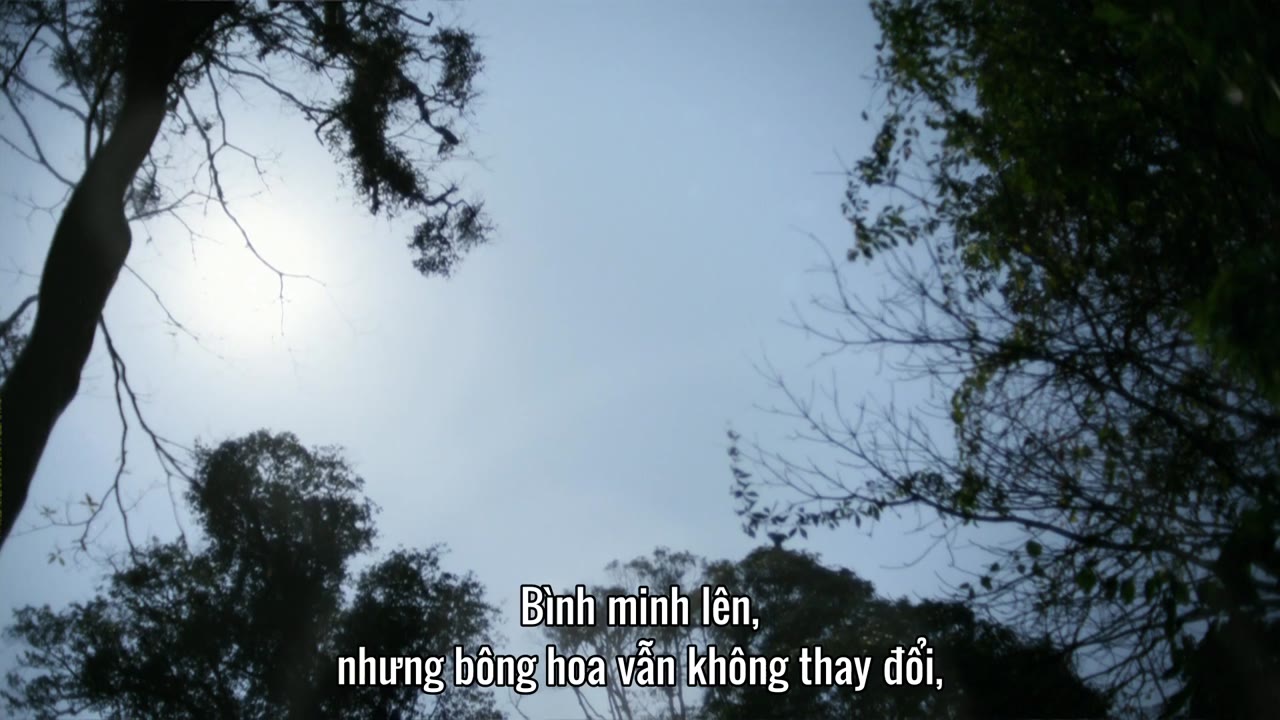 Thiên Nhiên Hoang Dã Trung Quốc tập 2 cảnh 3