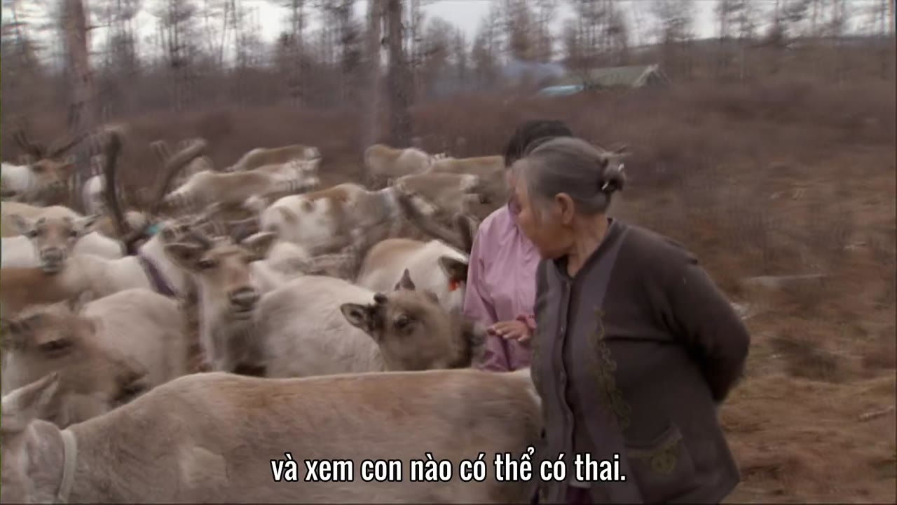 Thiên Nhiên Hoang Dã Trung Quốc tập 4
